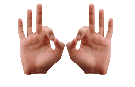 animation of hands signing INTERPRET