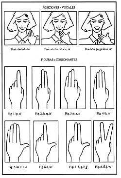 Cued Speech handshapes and spatial positions