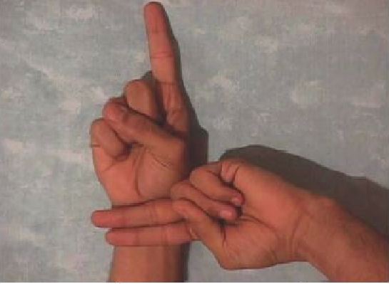 Arabic fingerspelling for the letter 'tanwiin aD Damm'